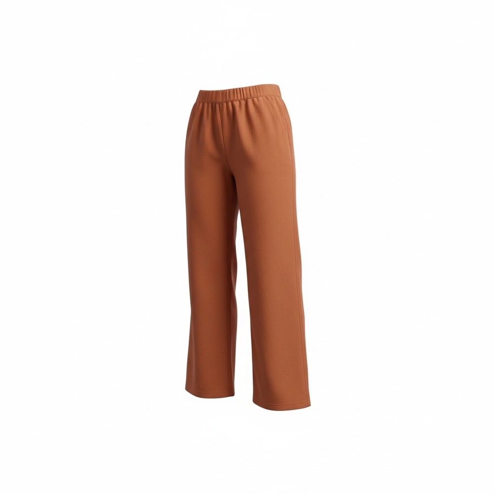 Everlane Wide Leg Elastic Waist Pants in Rust - Picture 2 of 6